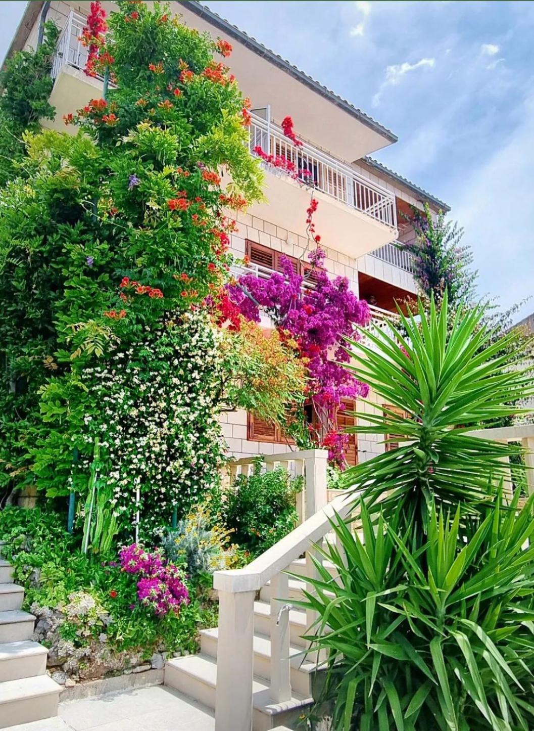 Ferienwohnung Dejan Brela Exterior foto
